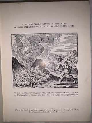 A History of Fire and Flame