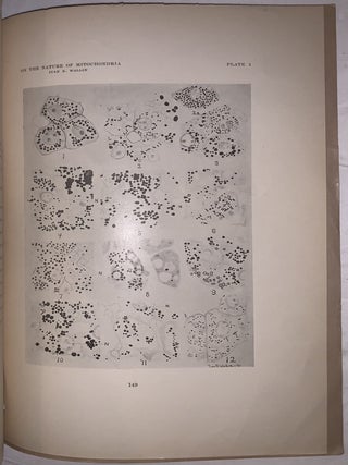On the Nature of Mitochondria: Parts I&ndash;IV, VIII & IX. Four Offprints, 1922&ndash;1925