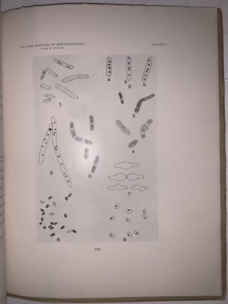 On the Nature of Mitochondria: Parts I&ndash;IV, VIII & IX. Four Offprints, 1922&ndash;1925