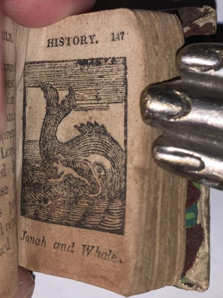 The History of the Bible